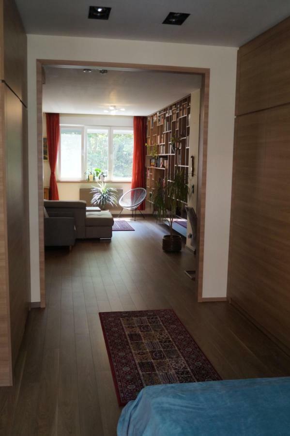 Mamini'S Apartment Budapeşte Dış mekan fotoğraf